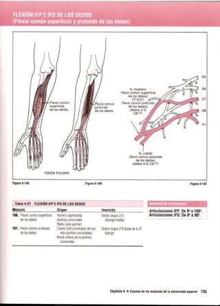 Pruebas Funcionales Musculares  Daniels 6a Edicion
