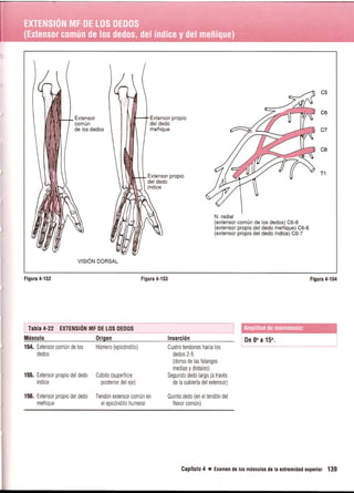 Pruebas Funcionales Musculares  Daniels 6a Edicion