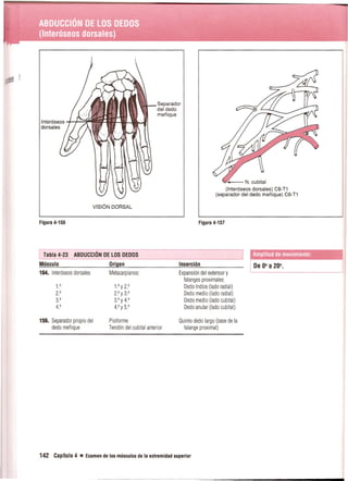 Pruebas Funcionales Musculares  Daniels 6a Edicion