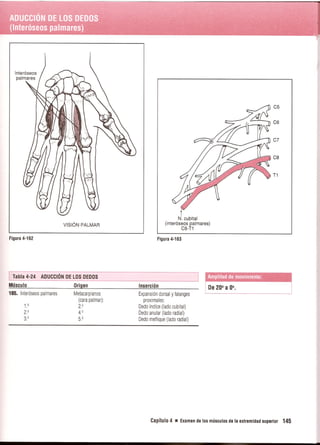 Pruebas Funcionales Musculares  Daniels 6a Edicion