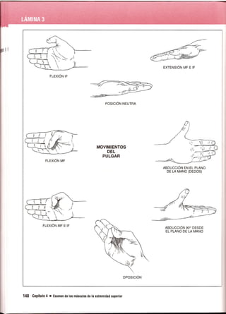 Pruebas Funcionales Musculares  Daniels 6a Edicion