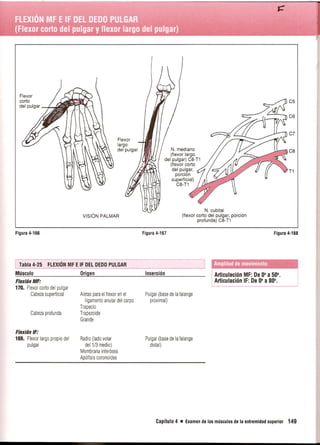 Pruebas Funcionales Musculares  Daniels 6a Edicion