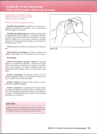 Pruebas Funcionales Musculares  Daniels 6a Edicion