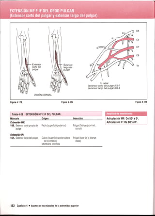 Pruebas Funcionales Musculares  Daniels 6a Edicion