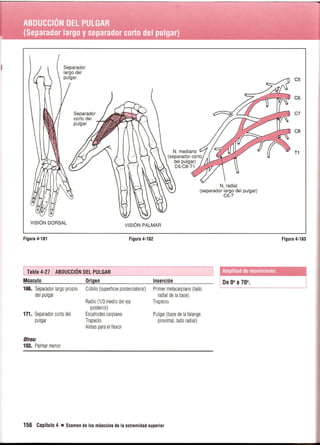 Pruebas Funcionales Musculares  Daniels 6a Edicion