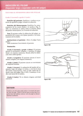 Pruebas Funcionales Musculares  Daniels 6a Edicion