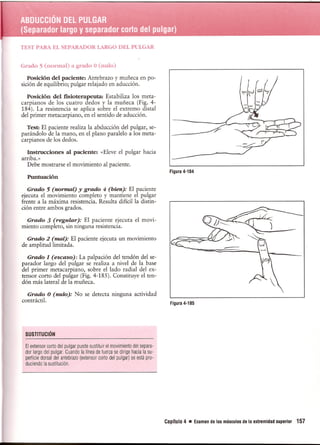 Pruebas Funcionales Musculares  Daniels 6a Edicion