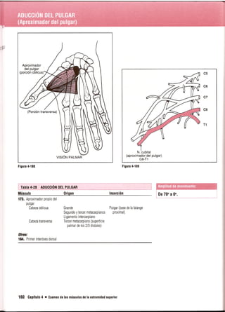 Pruebas Funcionales Musculares  Daniels 6a Edicion