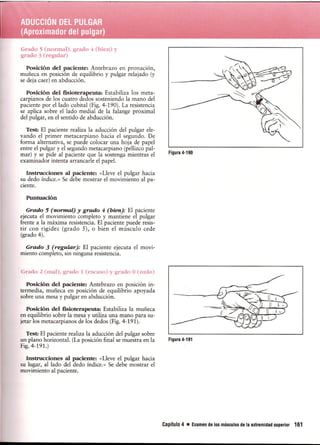 Pruebas Funcionales Musculares  Daniels 6a Edicion