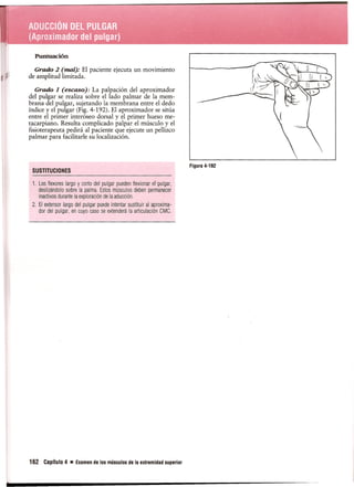 Pruebas Funcionales Musculares  Daniels 6a Edicion
