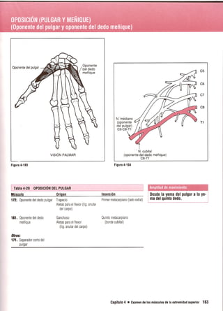 Pruebas Funcionales Musculares  Daniels 6a Edicion