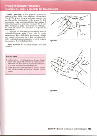 Pruebas Funcionales Musculares  Daniels 6a Edicion