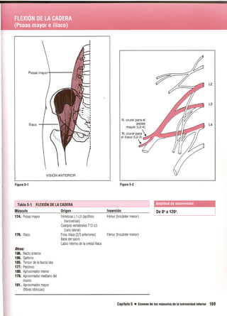 Pruebas Funcionales Musculares  Daniels 6a Edicion