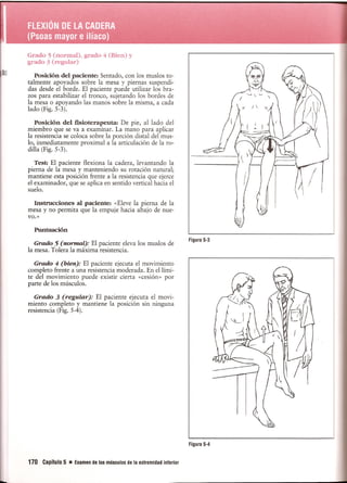 Pruebas Funcionales Musculares  Daniels 6a Edicion