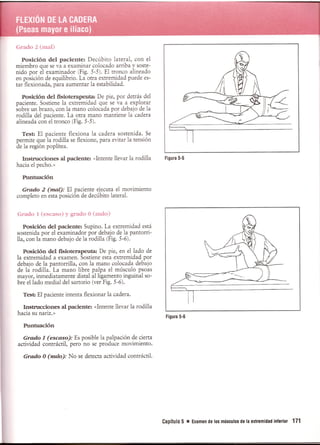Pruebas Funcionales Musculares  Daniels 6a Edicion