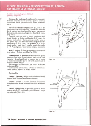 Pruebas Funcionales Musculares  Daniels 6a Edicion