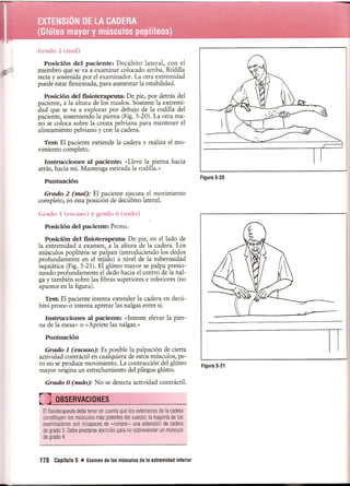 Pruebas Funcionales Musculares  Daniels 6a Edicion