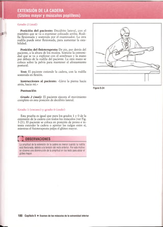 Pruebas Funcionales Musculares  Daniels 6a Edicion