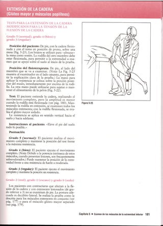 Pruebas Funcionales Musculares  Daniels 6a Edicion