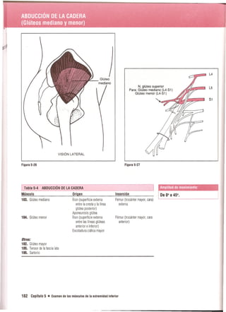 Pruebas Funcionales Musculares  Daniels 6a Edicion