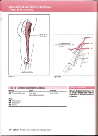 Pruebas Funcionales Musculares  Daniels 6a Edicion