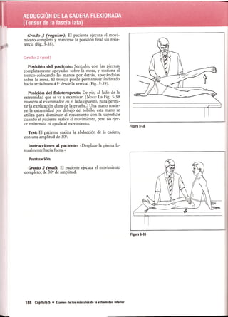 Pruebas Funcionales Musculares  Daniels 6a Edicion