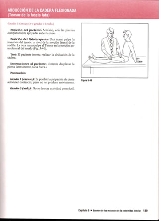 Pruebas Funcionales Musculares  Daniels 6a Edicion