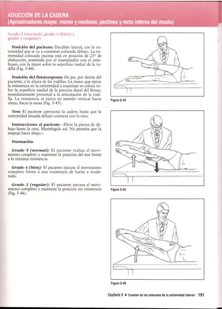 Pruebas Funcionales Musculares  Daniels 6a Edicion