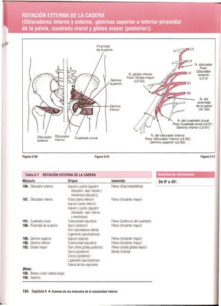 Pruebas Funcionales Musculares  Daniels 6a Edicion