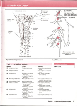 Pruebas Funcionales Musculares  Daniels 6a Edicion