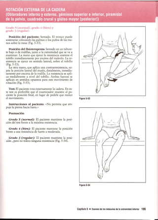 Pruebas Funcionales Musculares  Daniels 6a Edicion