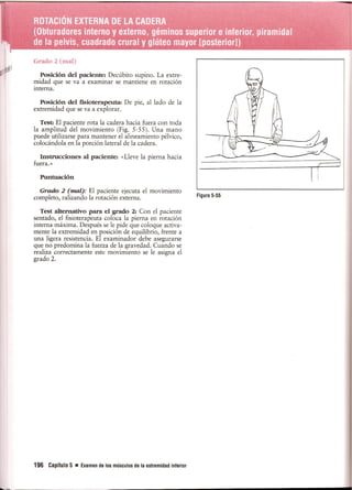 Pruebas Funcionales Musculares  Daniels 6a Edicion