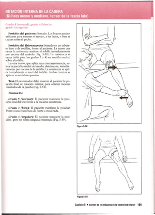Pruebas Funcionales Musculares  Daniels 6a Edicion