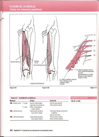 Pruebas Funcionales Musculares  Daniels 6a Edicion