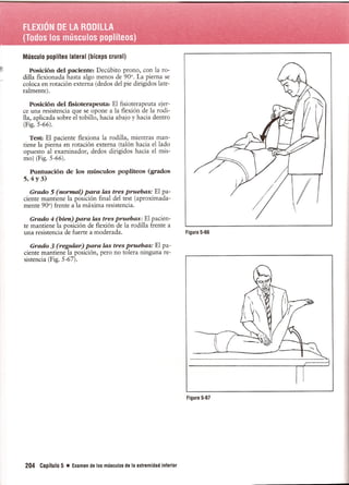 Pruebas Funcionales Musculares  Daniels 6a Edicion