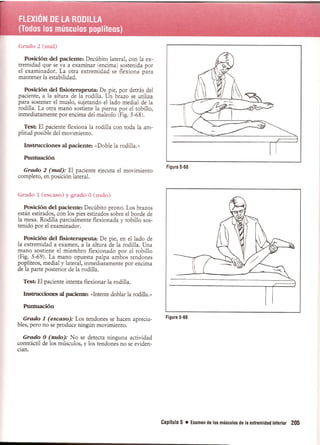 Pruebas Funcionales Musculares  Daniels 6a Edicion