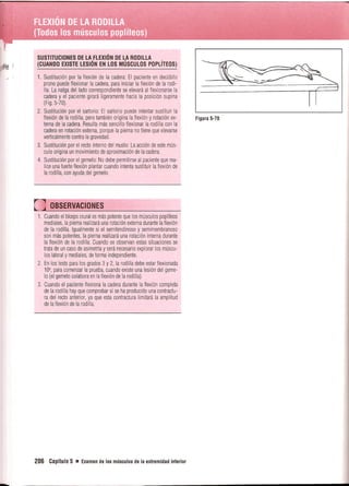 Pruebas Funcionales Musculares  Daniels 6a Edicion