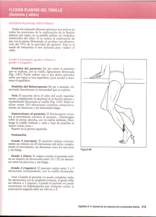 Pruebas Funcionales Musculares  Daniels 6a Edicion