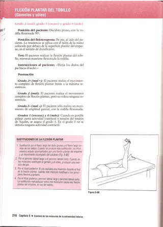 Pruebas Funcionales Musculares  Daniels 6a Edicion