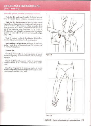 Pruebas Funcionales Musculares  Daniels 6a Edicion
