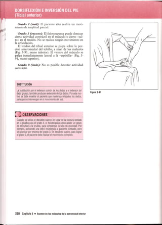 Pruebas Funcionales Musculares  Daniels 6a Edicion