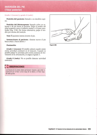 Pruebas Funcionales Musculares  Daniels 6a Edicion