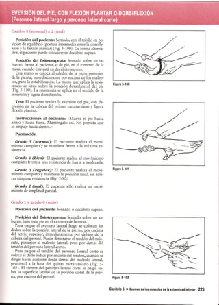 Pruebas Funcionales Musculares  Daniels 6a Edicion