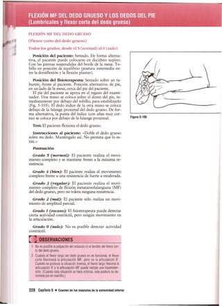 Pruebas Funcionales Musculares  Daniels 6a Edicion