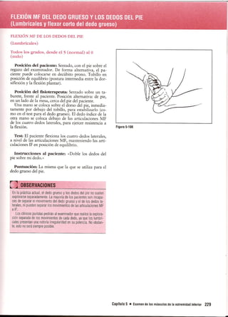 Pruebas Funcionales Musculares  Daniels 6a Edicion