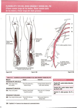 Pruebas Funcionales Musculares  Daniels 6a Edicion