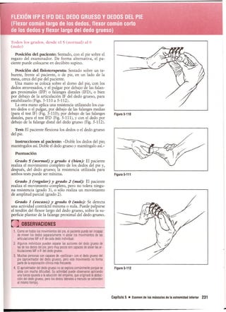 Pruebas Funcionales Musculares  Daniels 6a Edicion