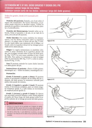 Pruebas Funcionales Musculares  Daniels 6a Edicion