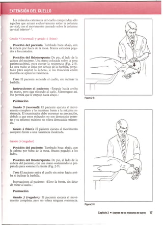 Pruebas Funcionales Musculares  Daniels 6a Edicion