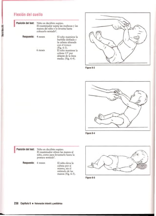 Pruebas Funcionales Musculares  Daniels 6a Edicion
